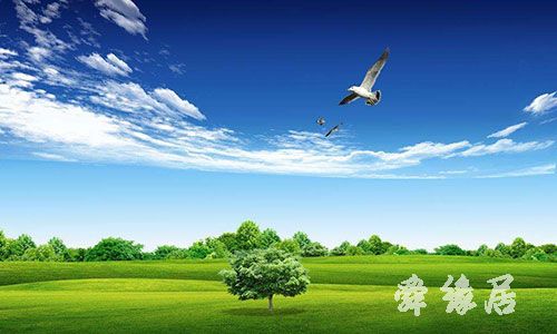 广州给公司起名的地方